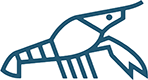 logo langusty na palmie